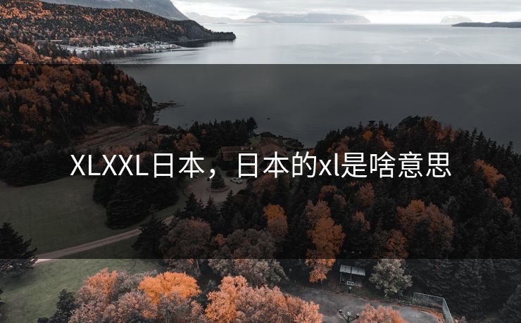 XLXXL日本,日本的xl是啥意思