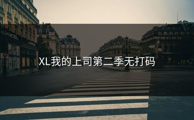 XL我的上司第二季无打码