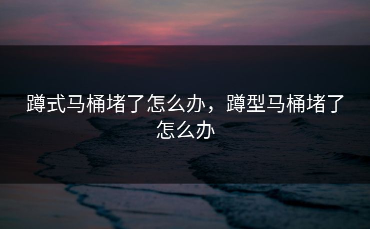 蹲式马桶堵了怎么办，蹲型马桶堵了怎么办