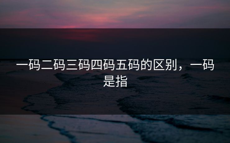 一码二码三码四码五码的区别，一码是指